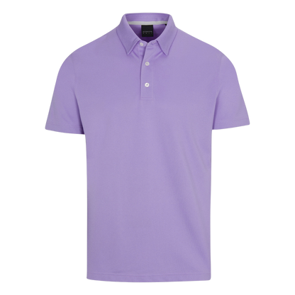 D7S22K514.Aster:2XL.TCP