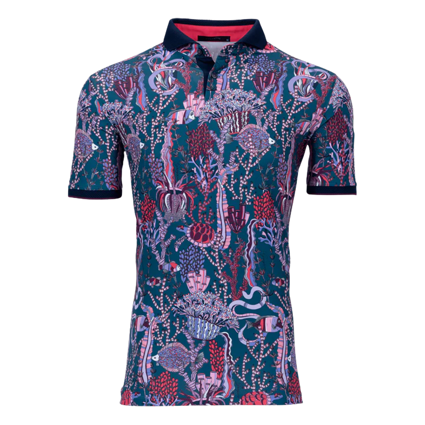 MSP24K16.Sea Turtle:Medium.TCP