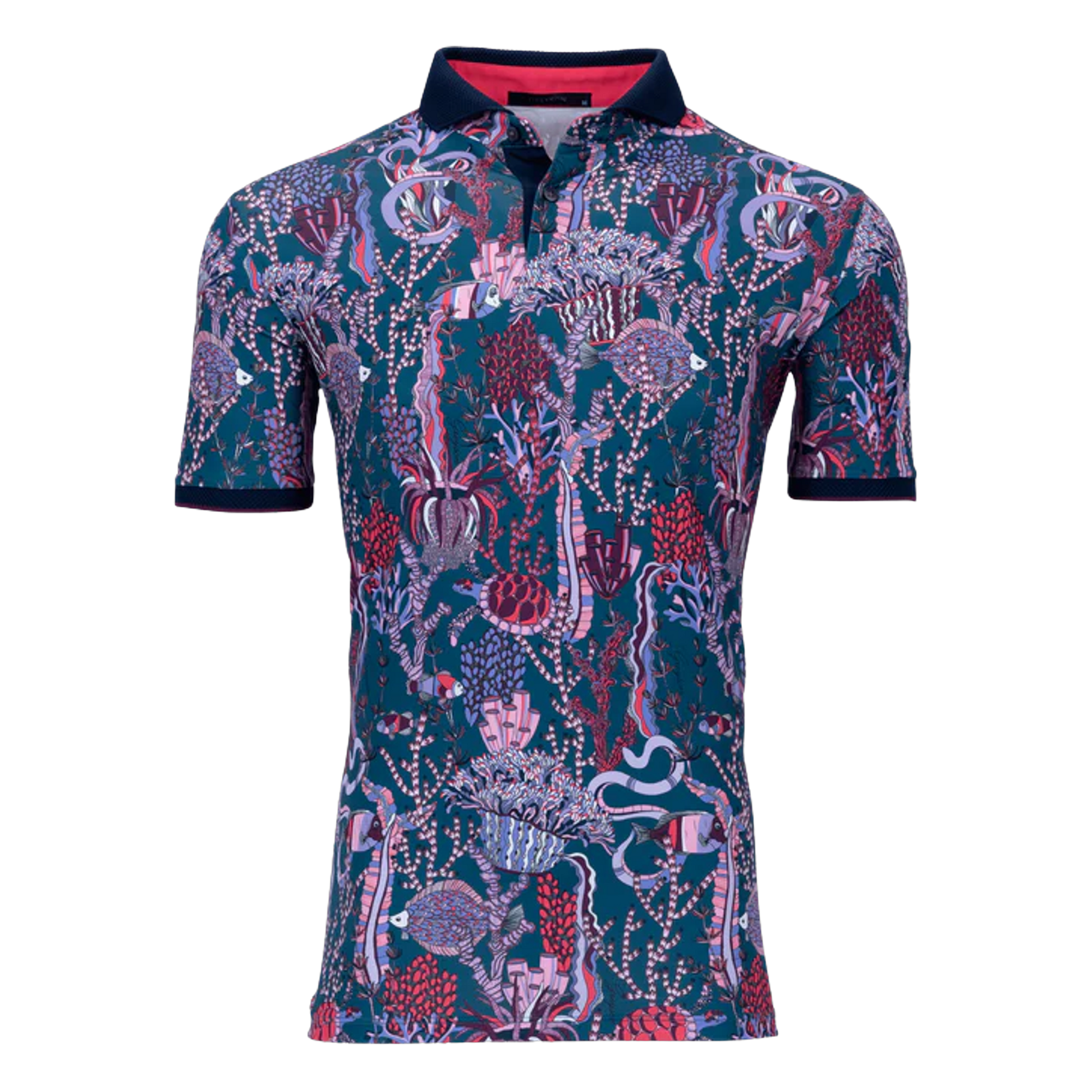 MSP24K16.Sea Turtle:Large.TCP